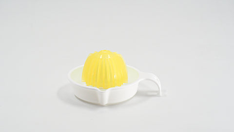 Sanada large juicer made in Japan