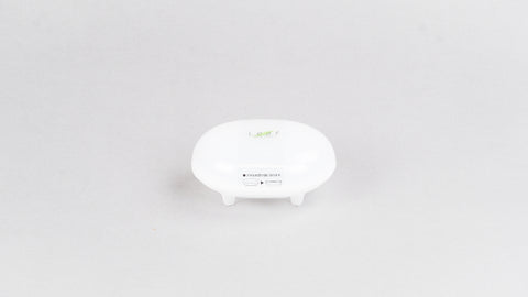日本製 LEAF 番梘盒(有蓋)