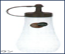 Made in Japan Inomata 360ml lidded condiment bottle (brown)