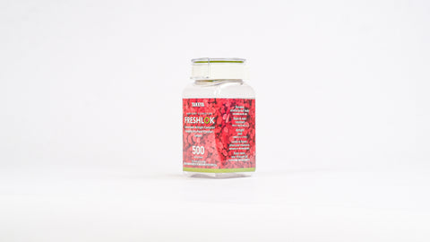 Fresh Lock 方形食物罐500ml